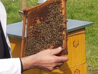 Exkurze 2.A a 4.A do Výzkumného včelařského ústavu 26. 4. 2022